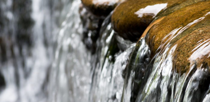 THE SELF (NAFS) AND ITS PURIFICATION (TAZKIYA)
