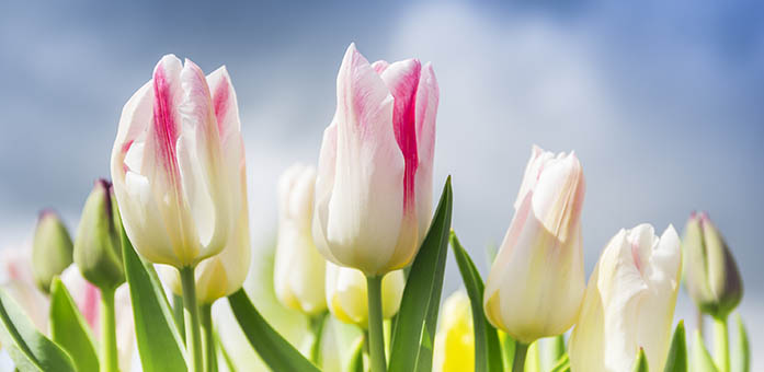 WASTEFULNESS IN FAITH AND WORSHIP II