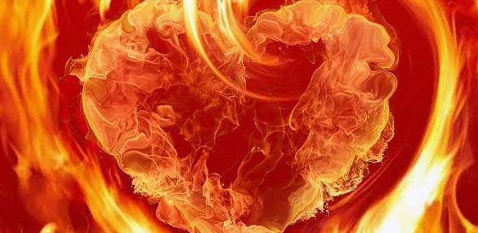 THE ROLE OF THE HEART