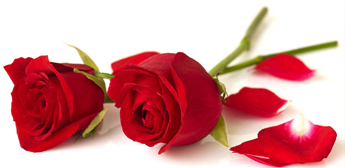 THINGS THAT MEN AND WOMEN TOGETHER NEED TO PAY ATTENTION TO IN THE FAMILY
