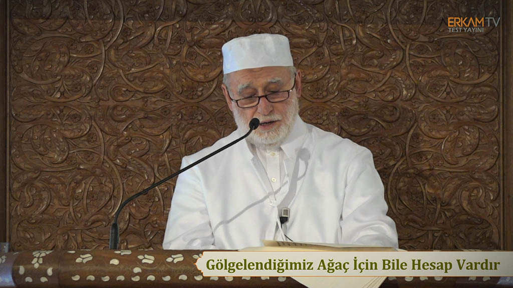 Gölgelendiğimiz Ağaç İçin Bile Hesap Vardır