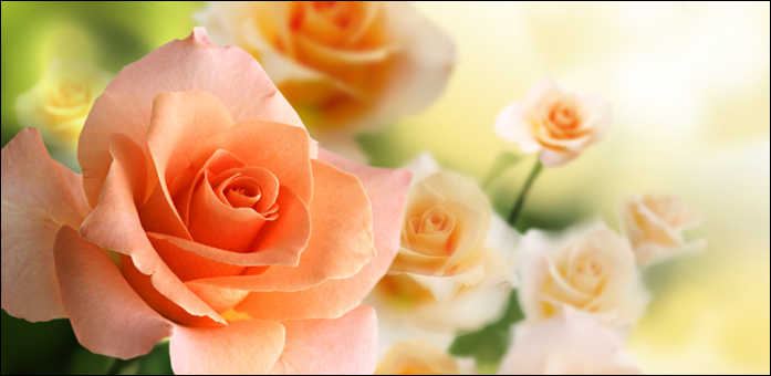 Frecuentar la compañía de los hombres nobles y auténticos