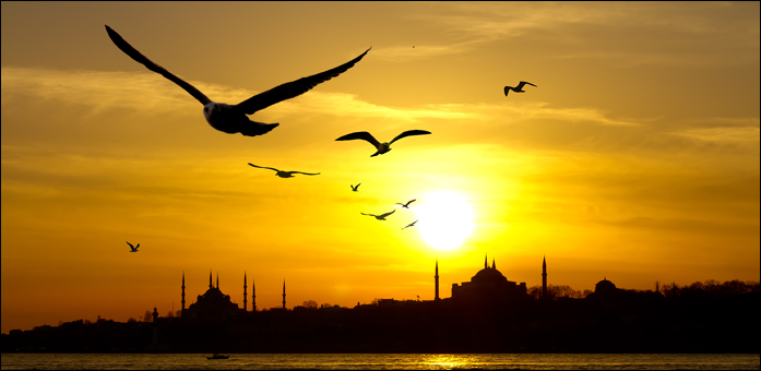 WHAT IS ISLAM?