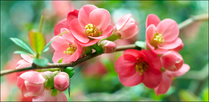 WORLDLY TRANSACTIONS and MORALITY