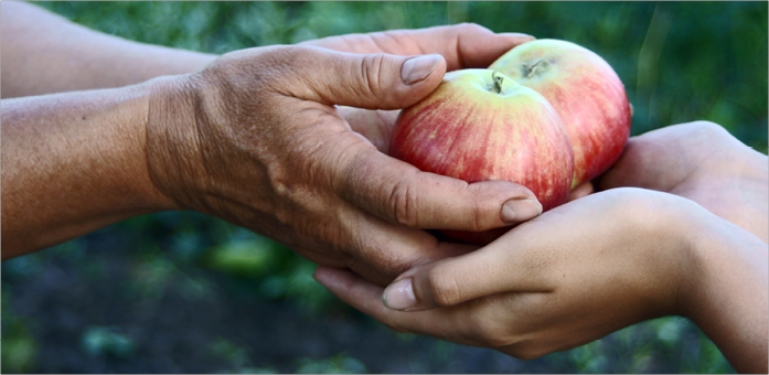 EL ZAKAT Y EL INFAQ