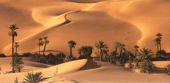 مجتمع عصر السعادة