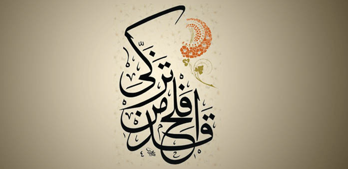 المراقبات