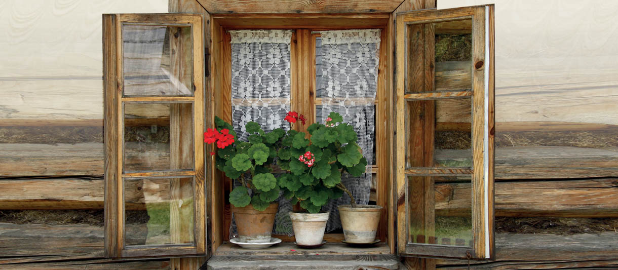 Huzur Menbaı Aileler, Göz Nûru Nesiller…