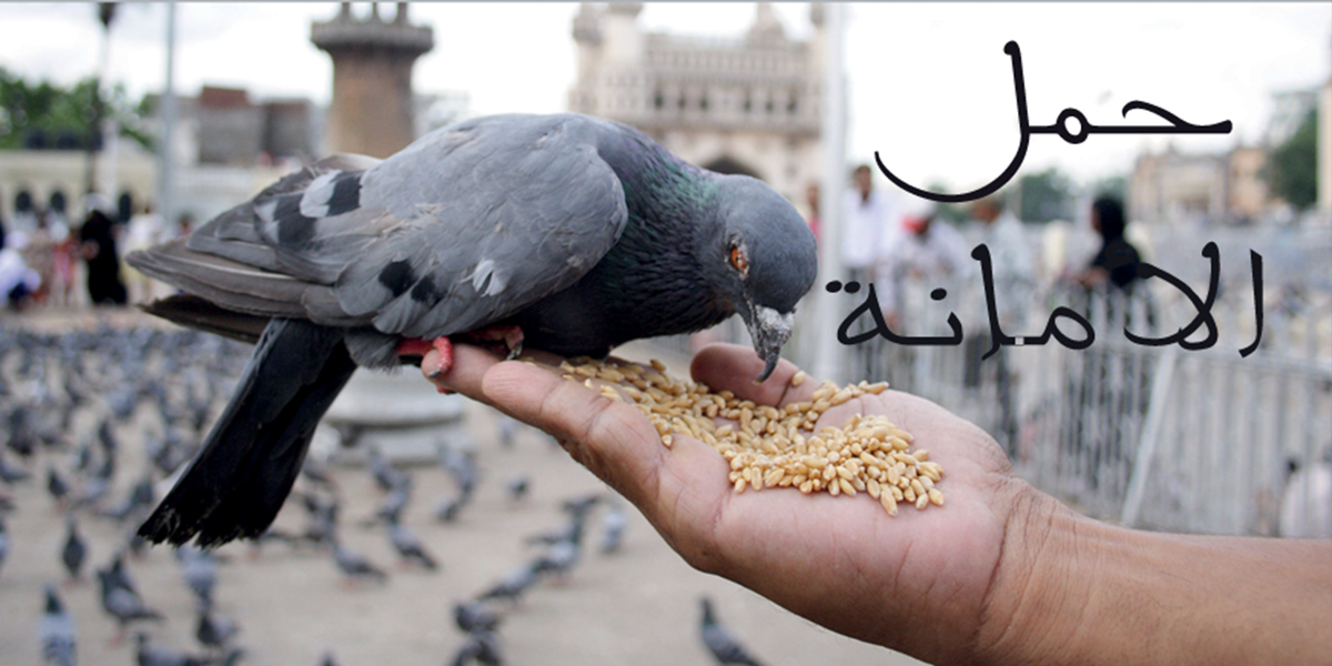 حمل الأمانة - كتاب الرحمة المهداة