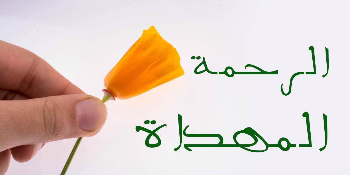 الررحمة المهداة - كتاب الررحمة المهداة