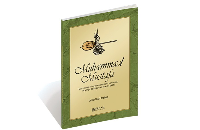 Muhammad Mustafa Muhammadu (Suuji Nda Hallasi Ma Barea Ga), Irkoy Diya, Bortaray Kaŋ Cine Ga Gaabu