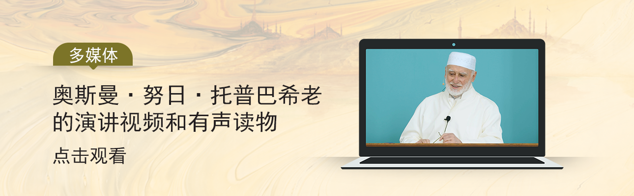 多媒体