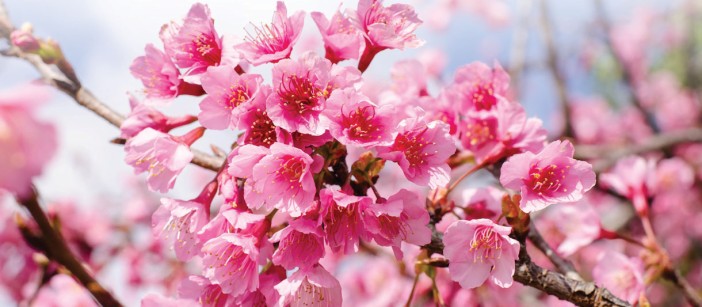 Blog Images